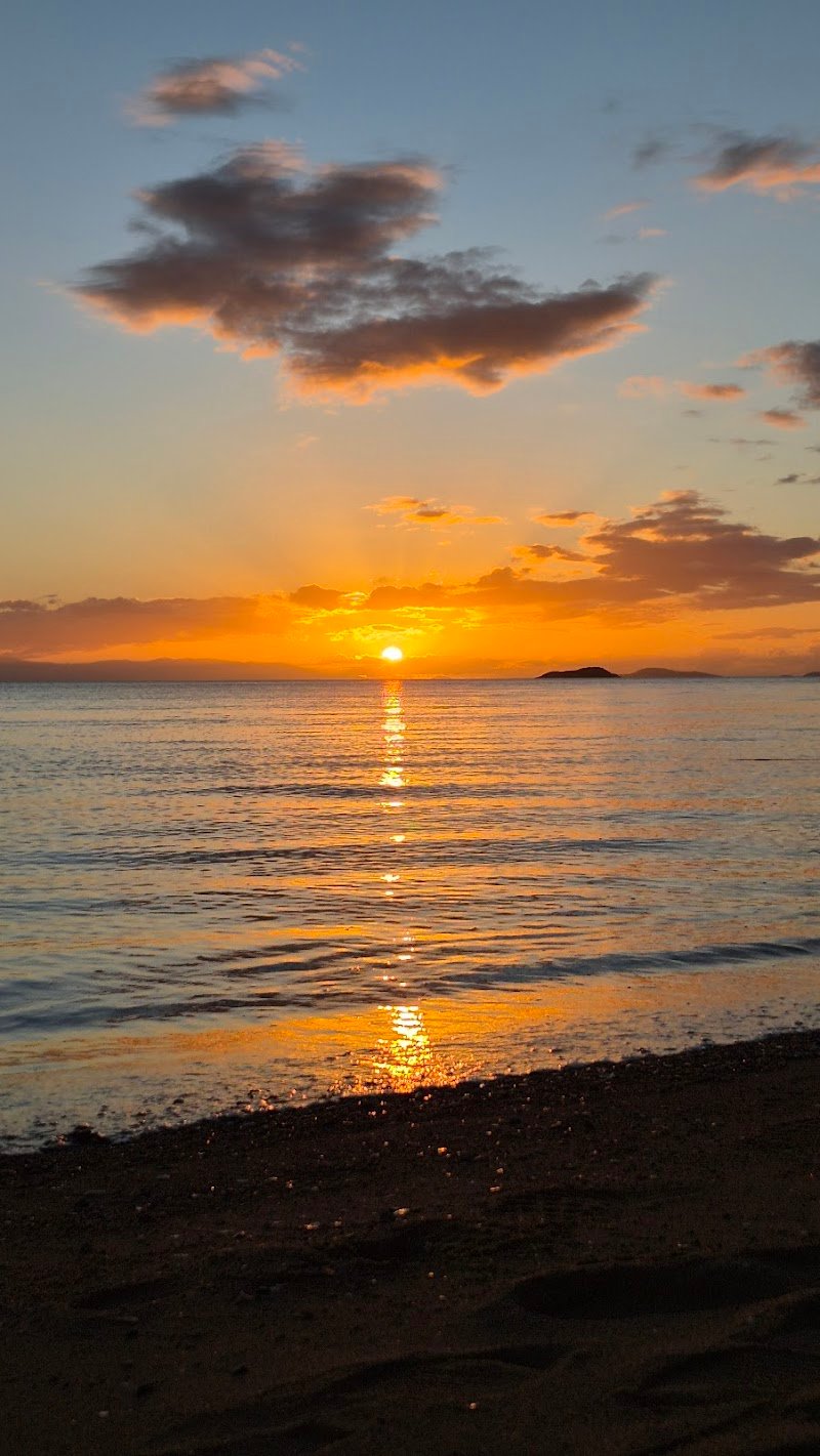 Island Dosa photo 10