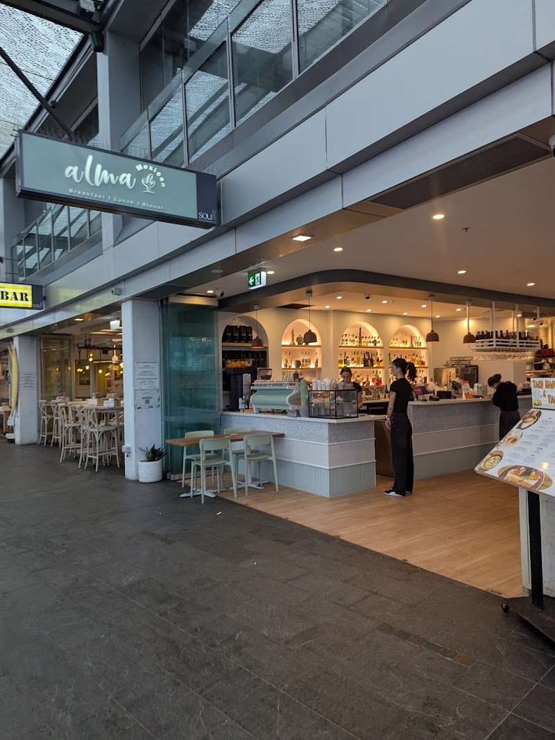 Alma Surfers Paradise photo 7