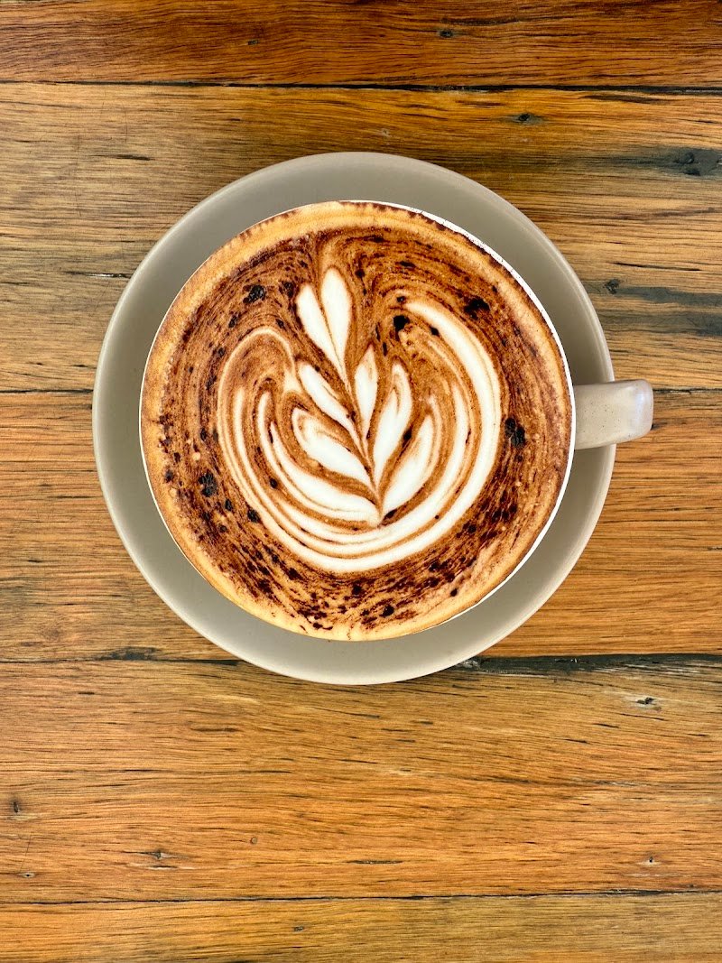 Alma Surfers Paradise photo 6