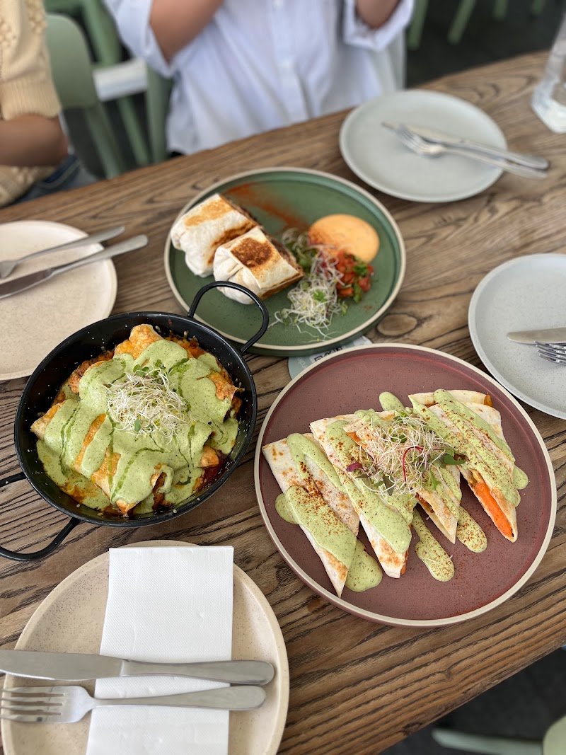 Alma Surfers Paradise photo 10